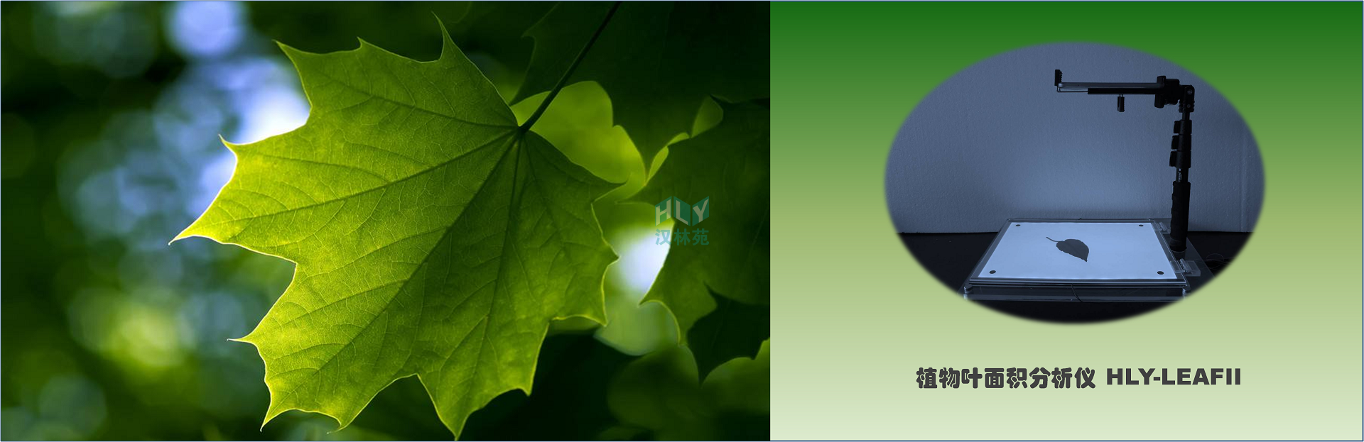 植物葉面積分析儀 植物葉面積分析儀